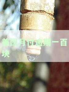 美团月付逾期一天的费用、影响及恢复使用时间全解析