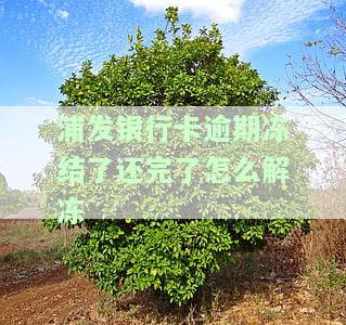 浦发银行卡逾期卡被停了,我还可之后额度会不会变，浦发银行卡逾期后被停，还清欠款后额度会恢复吗？