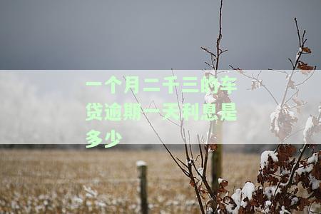 车贷2600逾期一个月利息多少？逾期罚息计算方法及可能面临的后果