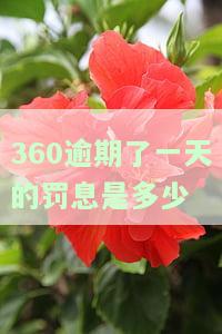 360逾期一天利息多少？计算方法及影响因素解析