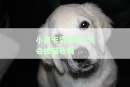 小赢卡贷逾期2天会被催收吗是真的吗，【真相揭示】小赢卡贷逾期2天真的会催收吗？