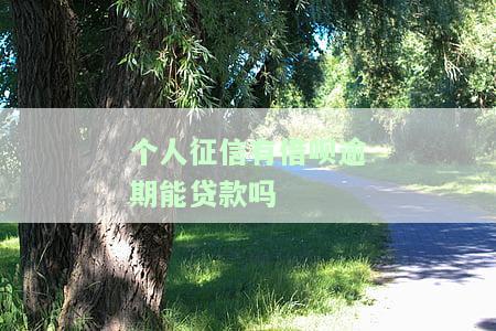 个人征信有借呗逾期能贷款吗，关于借呗逾期对个人征信的影响：还能否成功申请贷款？