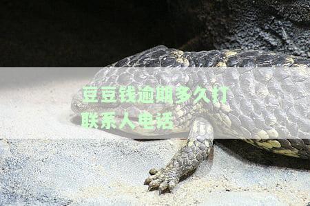 豆豆钱逾期会打单位电话吗，豆豆钱逾期：是否会拨打单位电话？