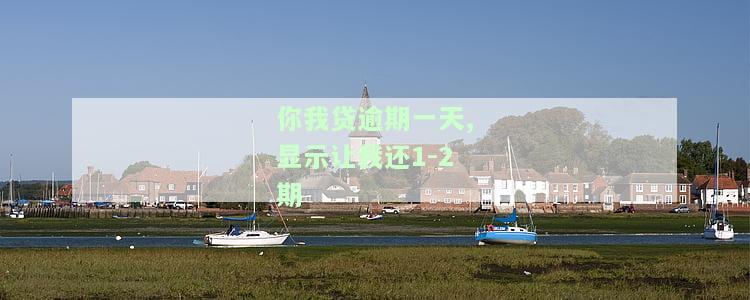 你我贷逾期一天,显示让我还1-2期什么意思，解答：你我贷逾期一天，为何要还1-2期？