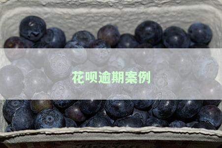 花呗逾期案例分享：网友亲身经历与2021年逾期截图