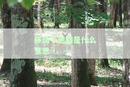 移动话费逾期：后果、处理及恢复方法全解析