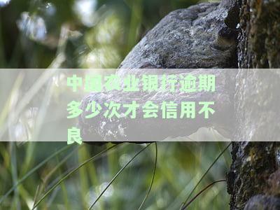 农业银行逾期多少天上征信，了解你的信用记录：农业银行逾期多久会上征信？