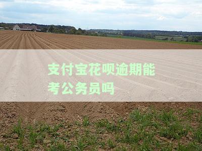 花呗逾期是否会影响公务员考试？政审是否会受其影响？