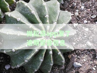 微粒贷发了逾期警告信息-微粒贷发了逾期警告信息是真的吗