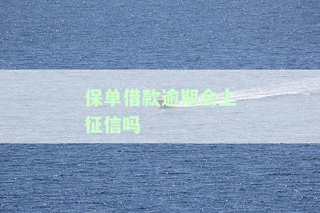 保单借款逾期会上征信吗