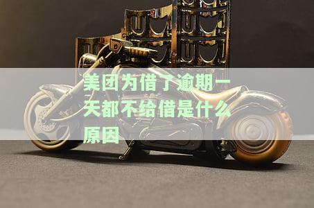 美团逾期一天借不出来了，美团借贷逾期一天，借款功能被限制无法使用