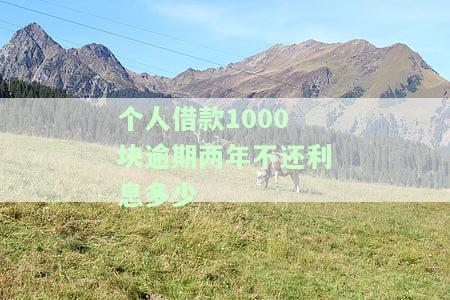 个人借款1000块逾期两年不还利息多少-个人借款1000块逾期两年不还利息多少呢