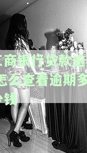 中国工商银行如何查询贷款剩余金额？