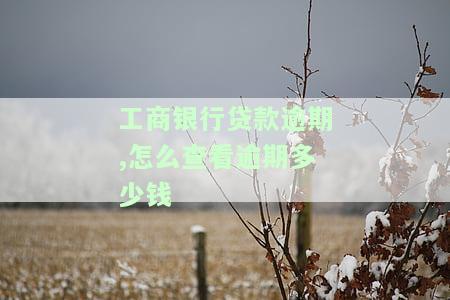 工商银行贷款逾期,怎么查看逾期多少钱-工商银行贷款逾期,怎么查看逾期多少钱了