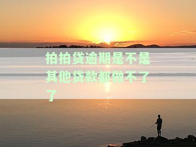 拍拍贷逾期会影响其他贷款吗？解决逾期是否会避免起诉？