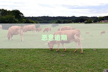 恶意逾期的定义，深入解析：恶意逾期的定义与影响