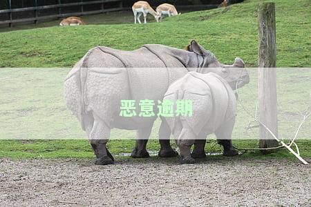 恶意逾期