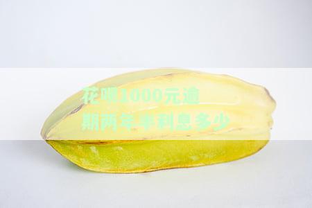 花呗1000元逾期两年半利息多少-花呗1000元逾期两年半利息多少钱