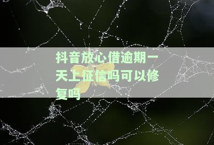 抖音放心借逾期一天上征信吗可以修复吗-抖音放心借逾期一天上征信吗可以修复吗