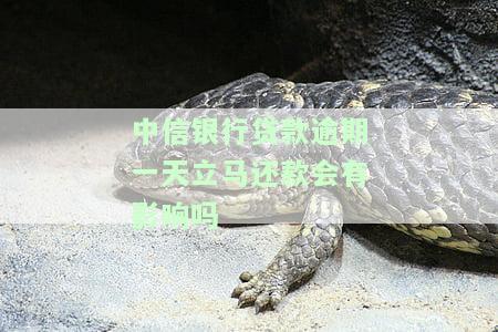 中信银行贷款晚还一天会怎么样，中信银行贷款晚还一天的后果是什么？