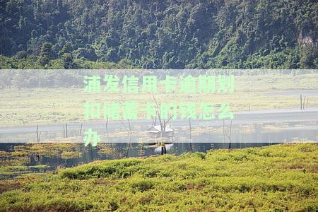 浦发信用卡逾期划扣蓄卡的钱怎么办-浦发信用卡逾期划扣蓄卡的钱怎么办理