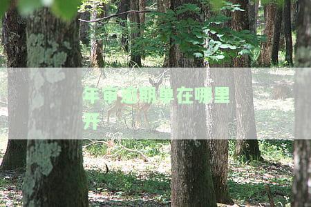 年审逾期怎么去年审？解决方法全攻略！
