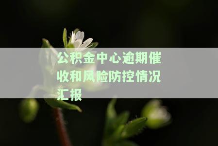公积金中心逾期催收和风险防控情况汇报怎么写，公积金中心：逾期催收与风险防控工作汇报