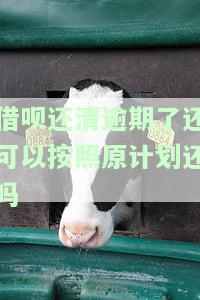 借呗还清逾期了还可以按照原计划还吗
