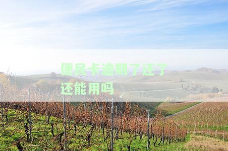 便民卡逾期没还会怎么样，逾期未还便民卡的后果是什么？
