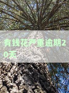 有钱花逾期20分影响大吗，有钱花逾期20分会产生什么影响？