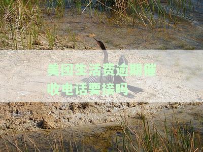 美团生活费逾期本地电话催款是真的吗，真相揭秘：美团生活费逾期后，真的会接到本地电话催款吗？