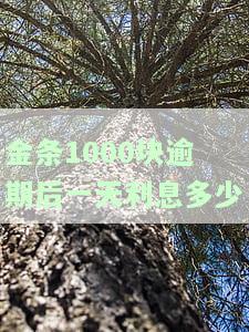 金条1000块逾期后一天利息多少？逾期10天、一年有何后果？是否会被起诉？