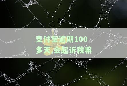 支付宝逾期100多天被起诉，如何应对？