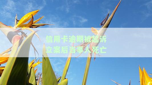 信用卡逾期被起诉立案后当事人死亡