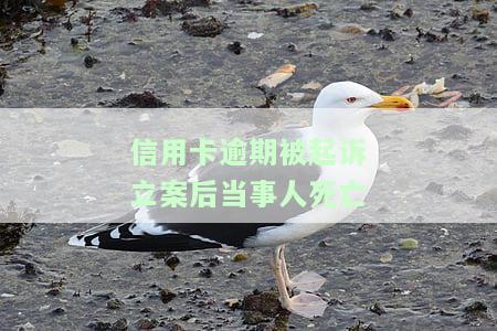 信用卡逾期被起诉立案后当事人死亡