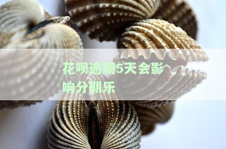 花呗逾期5天会影响分期乐-花呗逾期了会影响分期乐吗