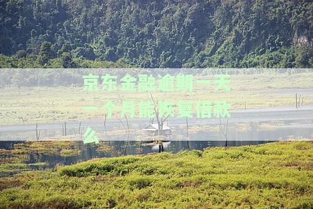 京东金融逾期一天一个月能恢复借款么嘛，京东金融逾期：一天或一个月后能否恢复借款？