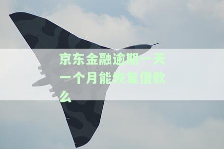 京东金融逾期1天还进去了还能再借吗，京东金融逾期1天还款后，能否再次借款？