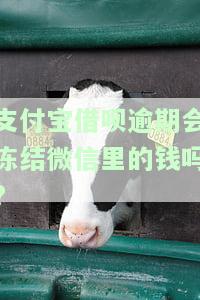 支付宝借呗逾期会冻结微信里的钱吗?