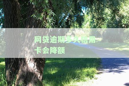 网贷逾期多久能恢复信用，网贷逾期后，多长时间可以恢复信用？