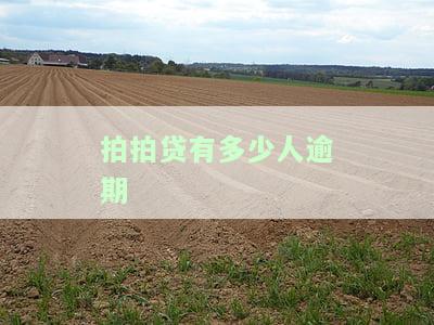 拍拍贷有人逾期吗，探析拍拍贷平台的逾期情况：是否存在用户违约现象？