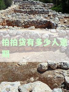 拍拍贷欠多少会被起诉，了解拍拍贷的欠款额度，避免被起诉的风险