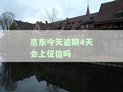 京东逾期1天,会上征信吗，京东逾期一天会影响征信吗？答案在这里！