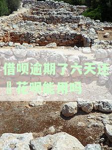借呗逾期六天能否继续使用？逾期后果及影响详解