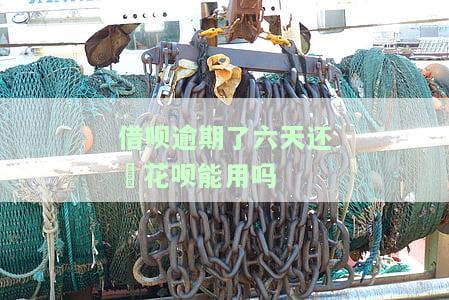 借呗逾期6天后还款，还能再次借款吗？安全性如何？