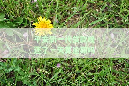 平安新一代贷款晚还一天算逾期吗？有宽限期可申请长