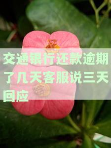 交通银行还款逾期了几天客服说三天回应，交通银行还款逾期，客服承诺三天内回复解决方案