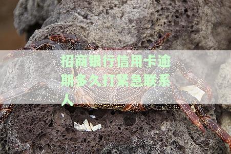 招商银行逾期多久催收及可能的法律后果