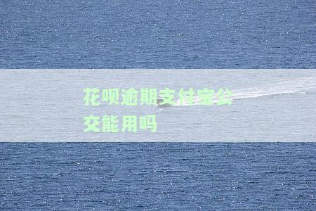 花呗逾期支付宝公交能用吗安全吗，花呗逾期会影响支付宝公交支付的安全性吗？