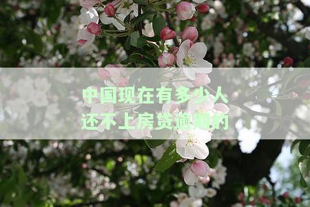 中国有多少人因还不起房贷而被拍卖或失去房产？